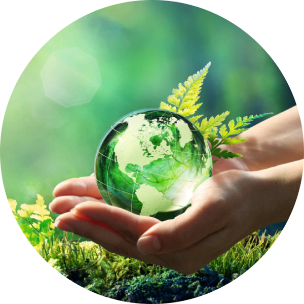 KHOA HỌC TỰ NHIÊN, XÃ HỘI & NHÂN VĂN